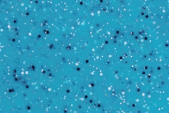 Pacific-Blue pool color Pacific-Blue