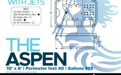 The Aspen Swim Spa
